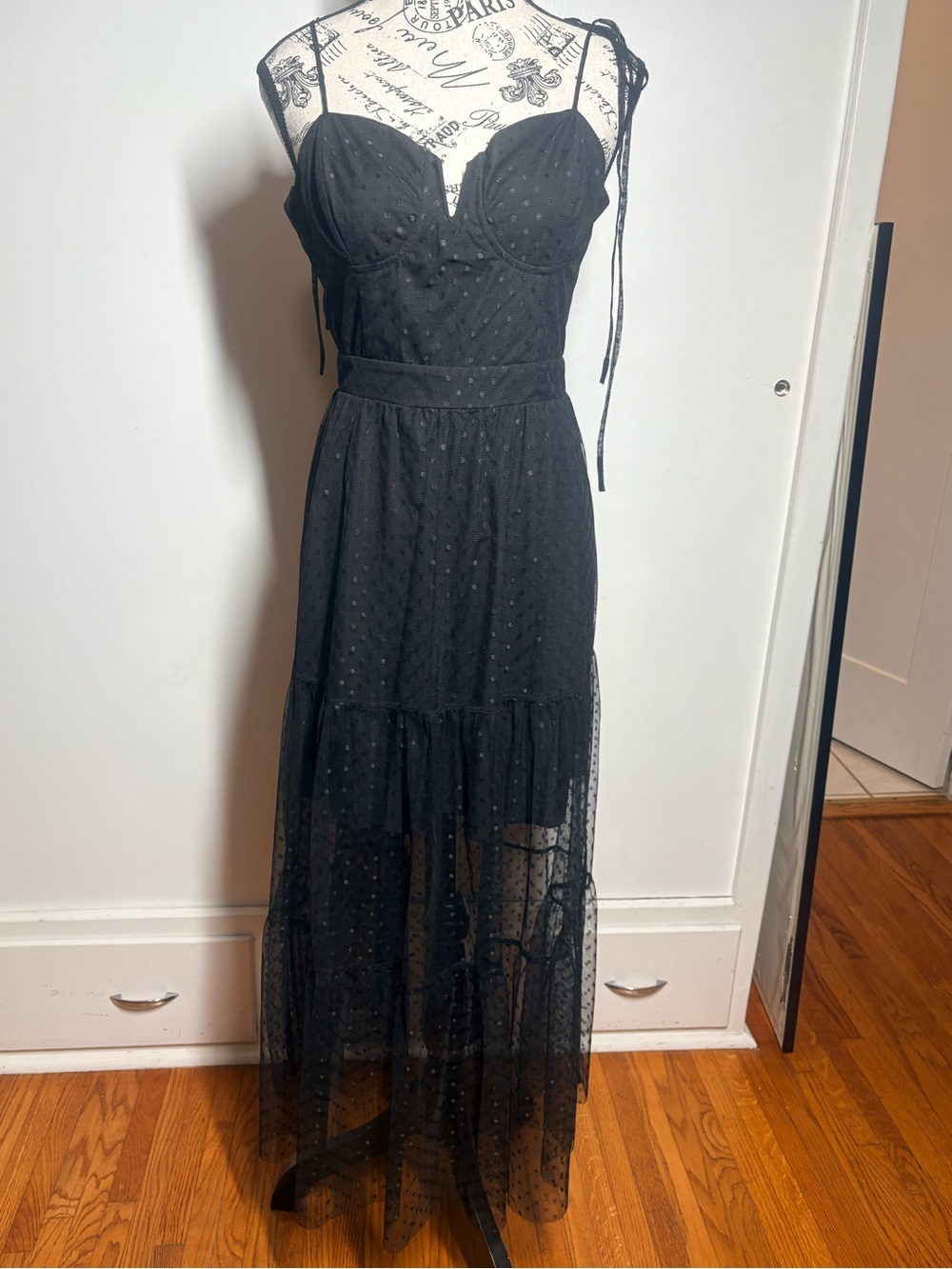 Lulus Swiss Dot Sheer Mesh Dress